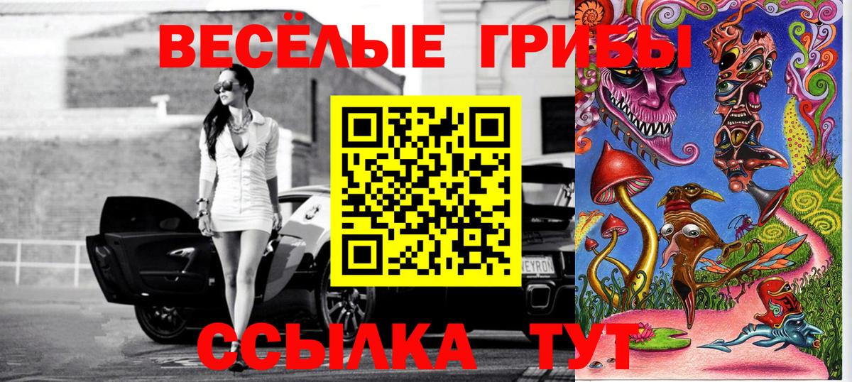 Псилоцибиновые грибы мухоморы  Вход с VPN  Жигулёвск  магазин продажи   Галлюциногенные грибы Psilocybe 